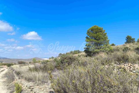 Helårsgrund i Jumilla, Murcia, Jumilla - € 29.900 | Ref: SF0544 - foto 13